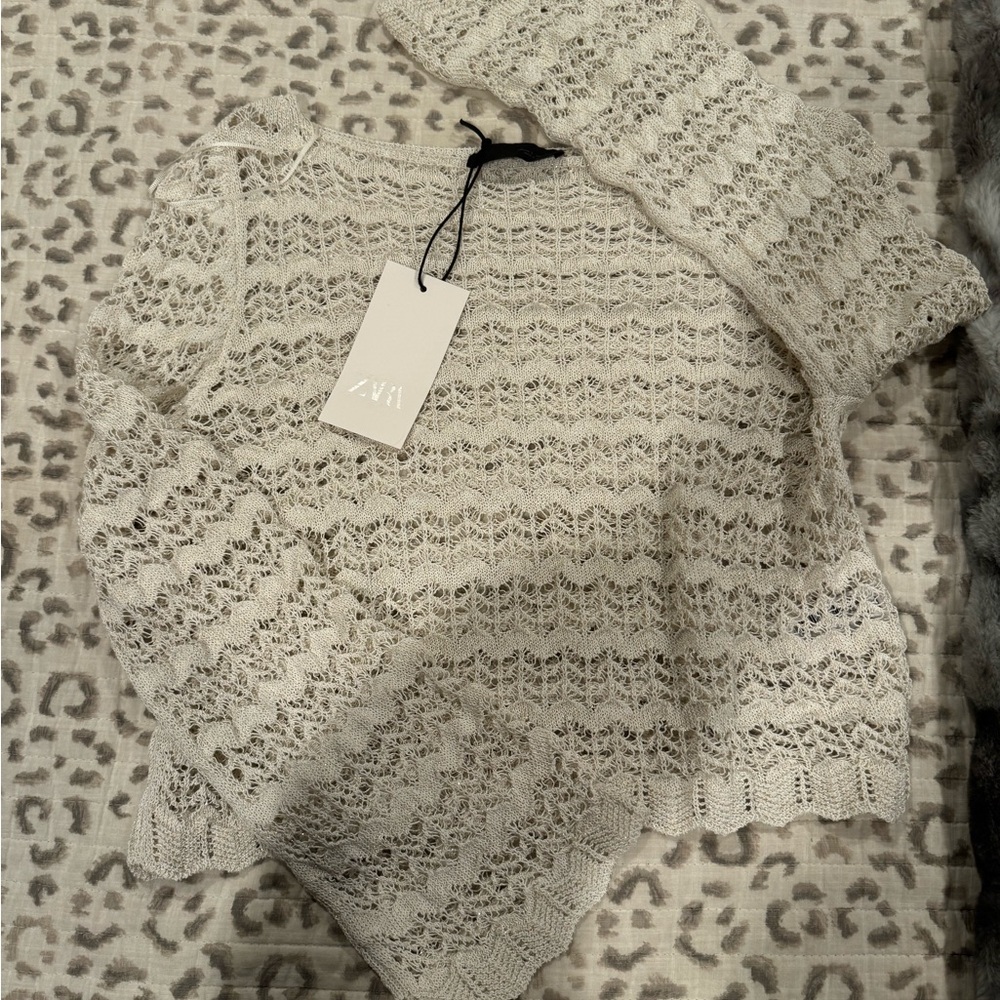 Zara Beige Textured Knit Top